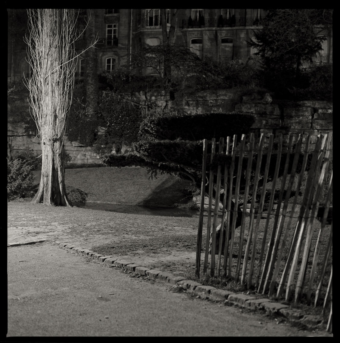 Paris-Botanicals-002-Edit