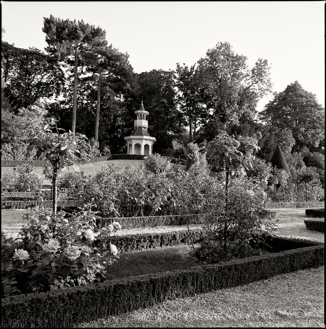 Paris-Botanicals-018-Edit