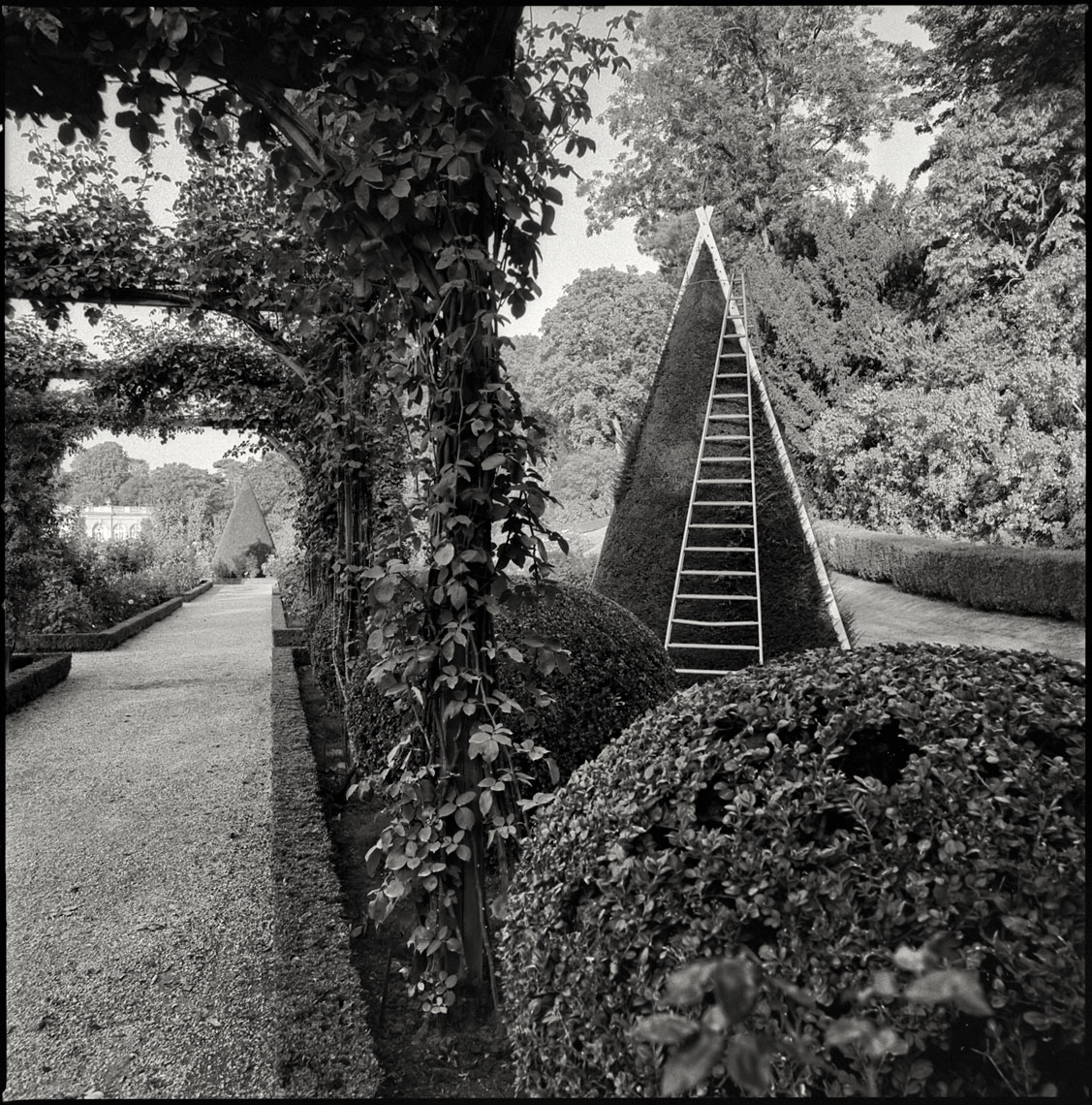 Paris-Botanicals-019-Edit