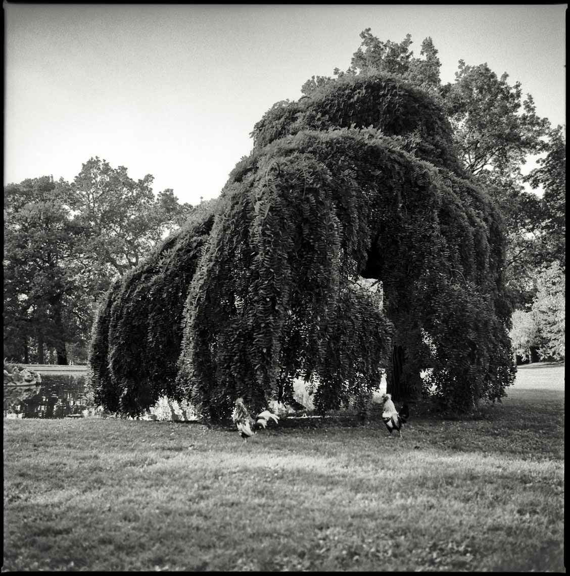 Paris-Botanicals-030-Edit