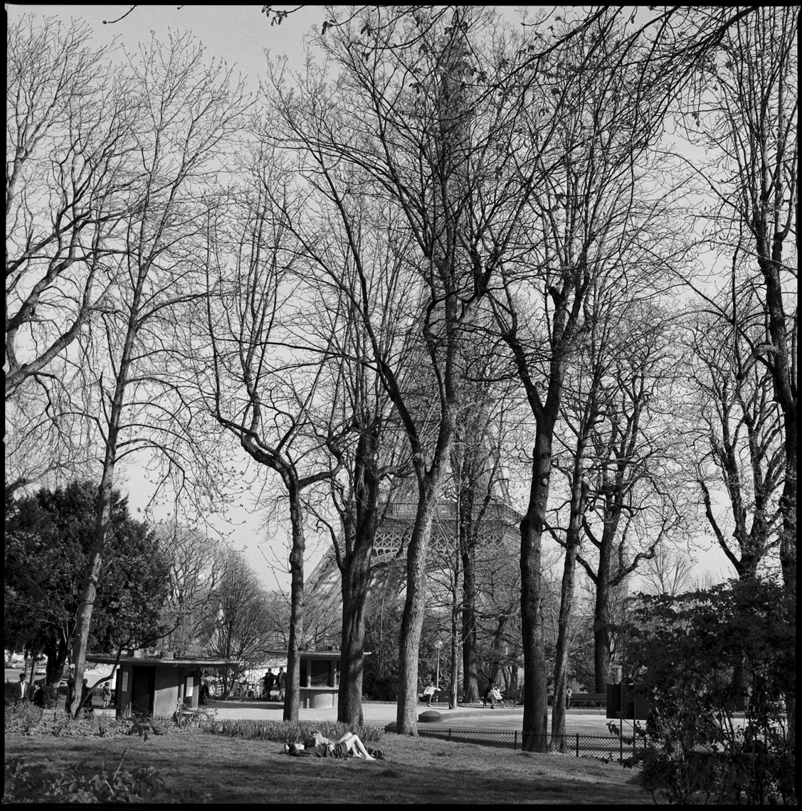 Paris-Botanicals-058-Edit