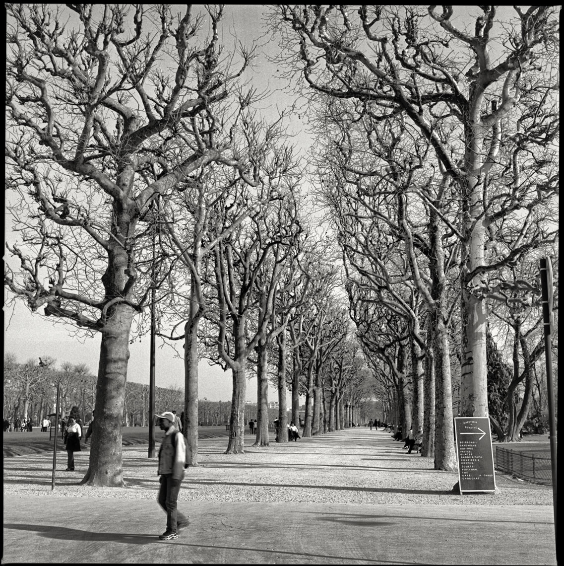 Paris-Botanicals-061
